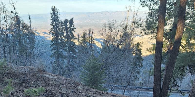 Camper submitted image from Sykes Knob