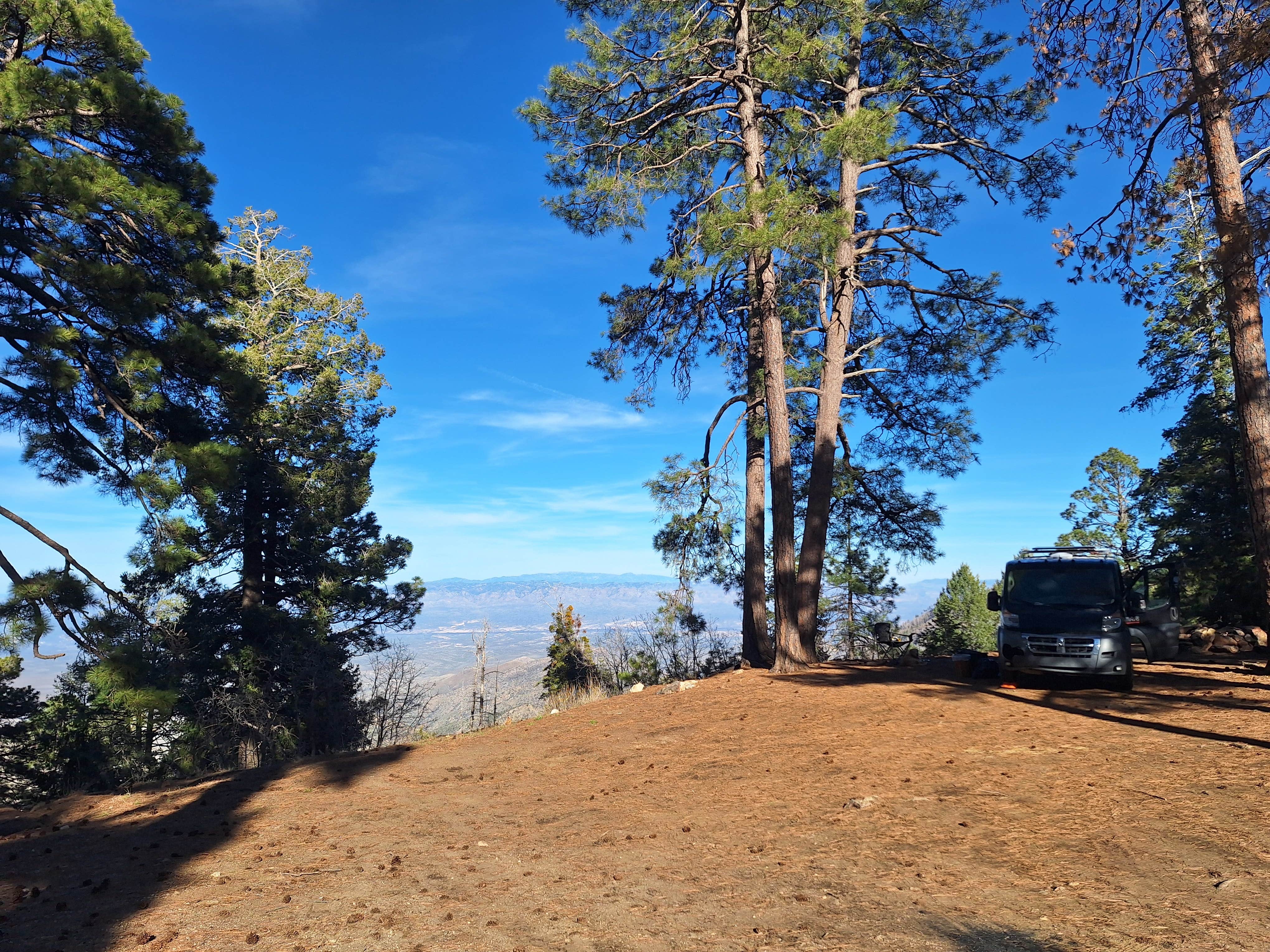 Camping near Mount Bigelow Dispersed: Sykes Knob, Mount Lemmon, Arizona