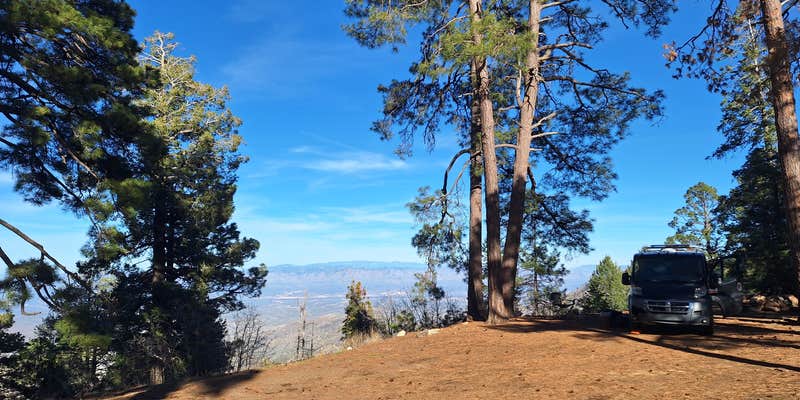 Camper submitted image from Sykes Knob