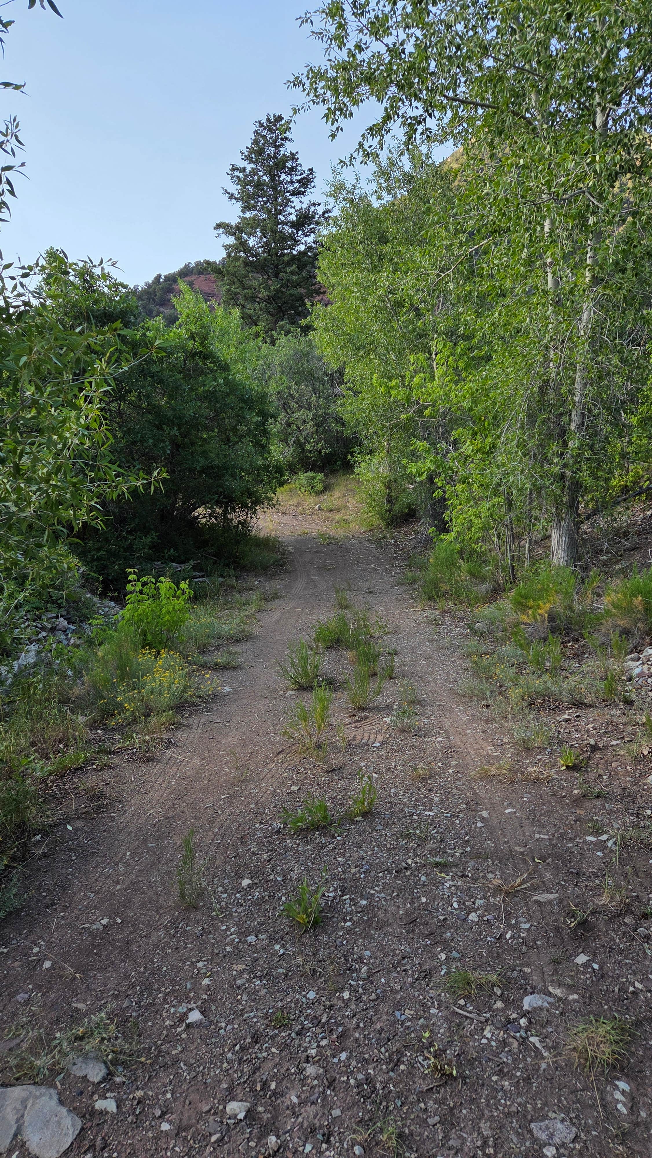 Camper submitted image from Syracuse Mine - On Forest Service Land - 4
