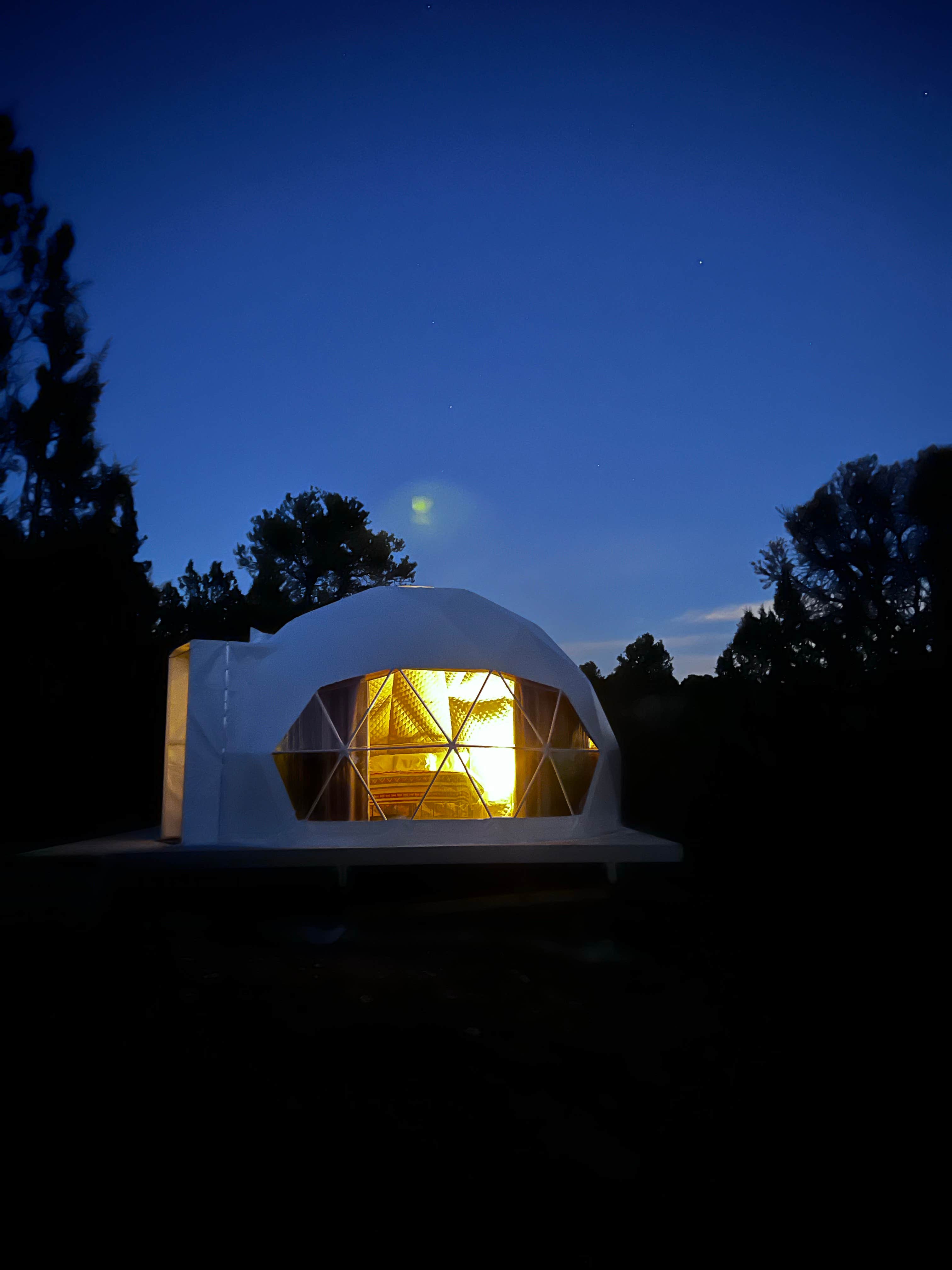 Camper submitted image from Scruffy Buffalo Ranch - 5