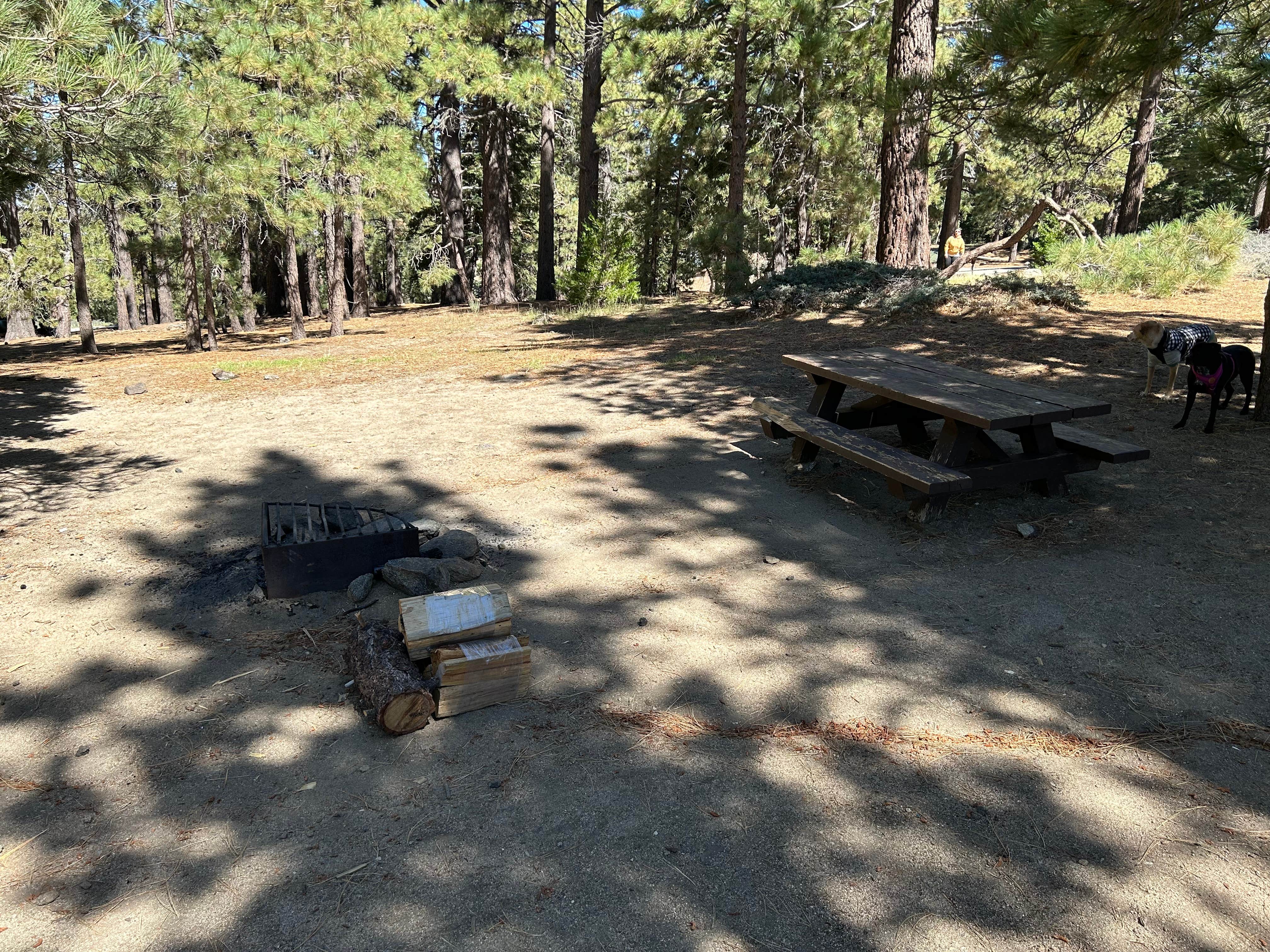 Camper-submitted photo at Table Mountain Campground near Mount Baldy, CA