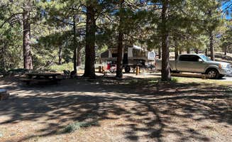 Troy L.'s photo of camping with pets at Table Mountain Campground near Hesperia, CA