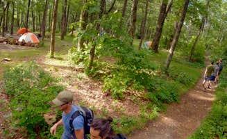 Ernesto H.'s photo at Table Rock Campsites (Linville Gorge Wilderness) near Collettsville, NC