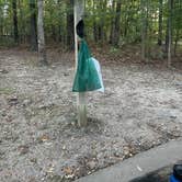 Review photo of Table Rock State Park Campground by Grace S., October 6, 2025