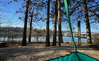 Sarah C.'s photo at Table Rock State Park Campground near Hollister, MO