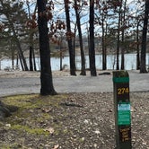 Review photo of Table Rock State Park Campground by Sarah C., March 5, 2024