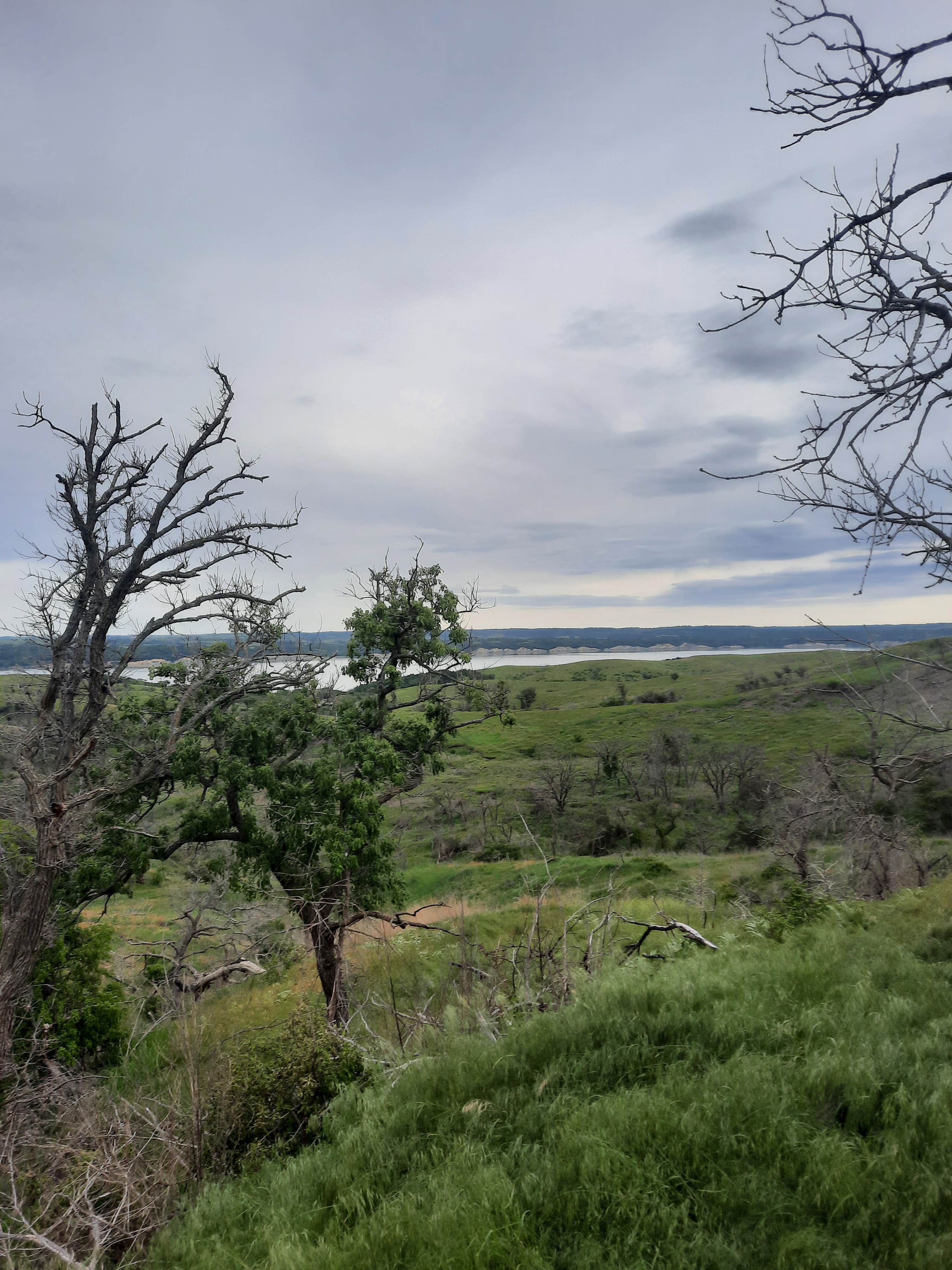 Camper submitted image from Tabor Lakeside Use Area Camping - 1