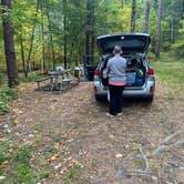 Review photo of Copake Falls Area — Taconic State Park by Robert L., October 10, 2026