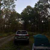 Review photo of Taconic Hereford Multiple Use Park by Tim M., October 4, 2025