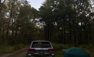Tim M.'s photo of a dispersed camping area at Taconic Hereford Multiple Use Park near Southbury, CT