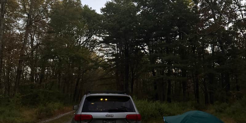 Camper submitted image from Taconic Hereford Multiple Use Park