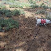 Review photo of Tahoe National Forest Boca Campground by Vanessa H., July 16, 2026