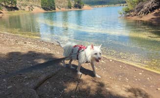 Vanessa H.'s photo of camping with pets at Tahoe National Forest Boca Campground near Carson City, NV