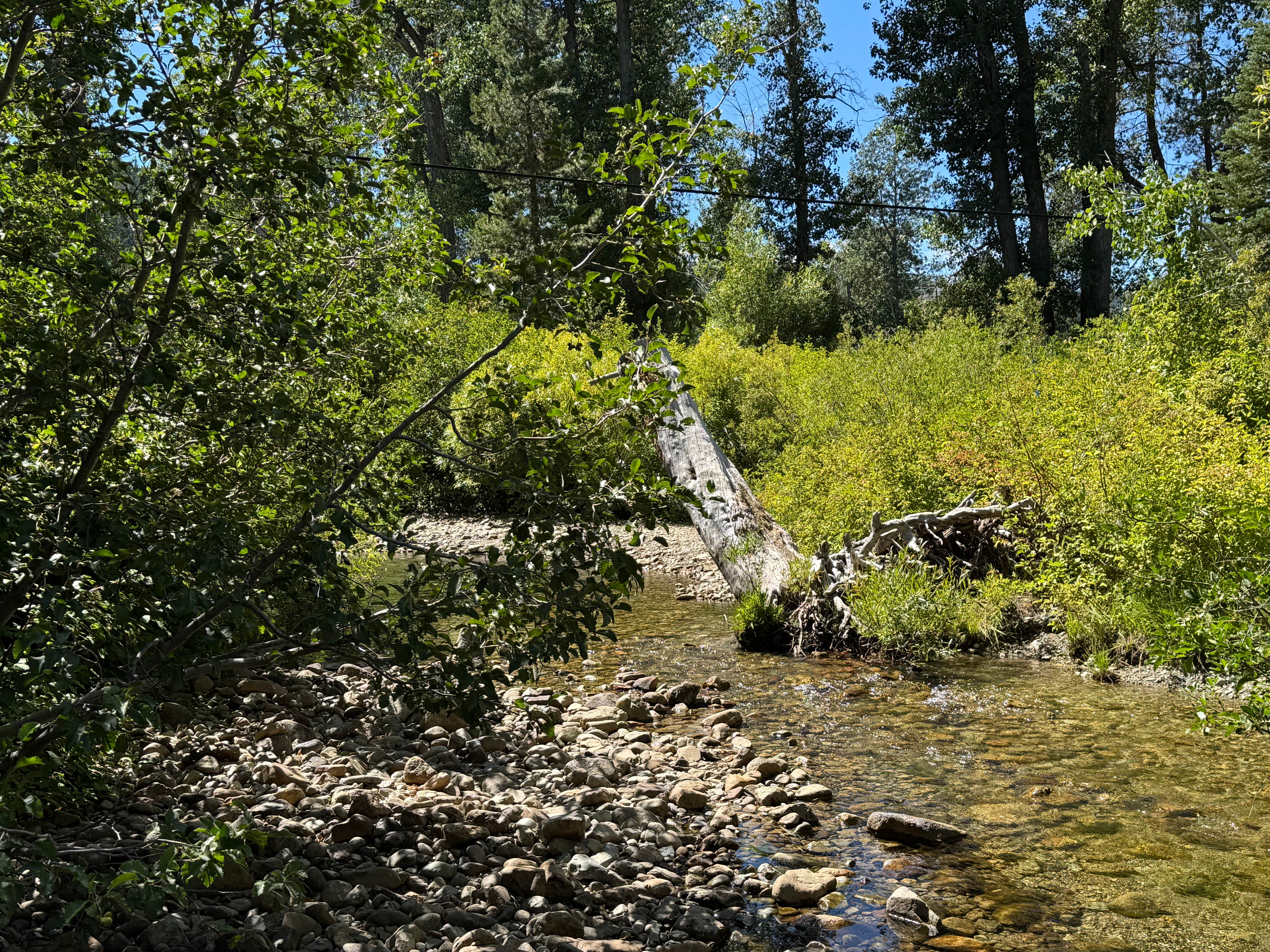 Camper-submitted photo at Tahoe National Forest Salmon Creek Campground near Graeagle, CA