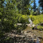 Review photo of Tahoe National Forest Salmon Creek Campground by Matthew G., September 6, 2025