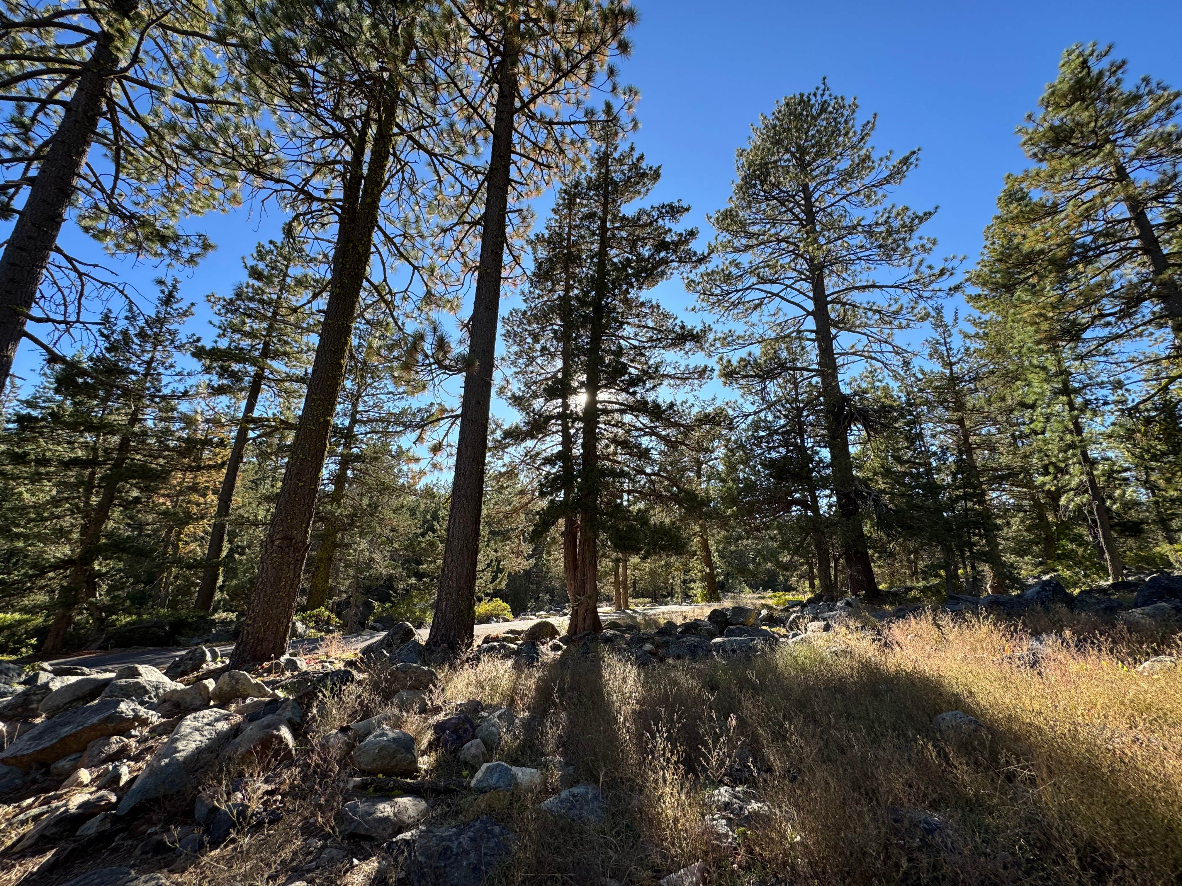 Camper-submitted photo at Tahoe National Forest Salmon Creek Campground near Graeagle, CA