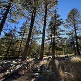 Review photo of Tahoe National Forest Salmon Creek Campground by Matthew G., September 6, 2025