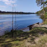 Review photo of Rivermouth Modern Campground — Tahquamenon Falls State Park by Coral C., July 5, 2024