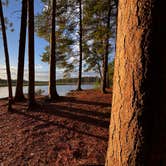Review photo of Rivermouth Pines Campground — Tahquamenon Falls State Park by Stacy N., June 26, 2026