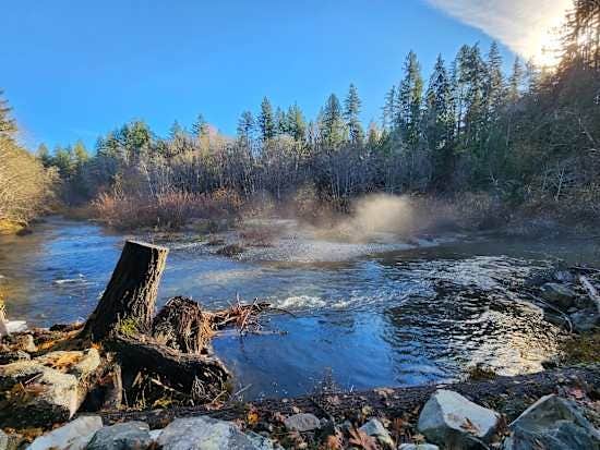 Camper submitted image from Tahuya River Lodge Campground - 3