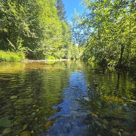 Camper submitted image from Tahuya River Lodge Campground - 2
