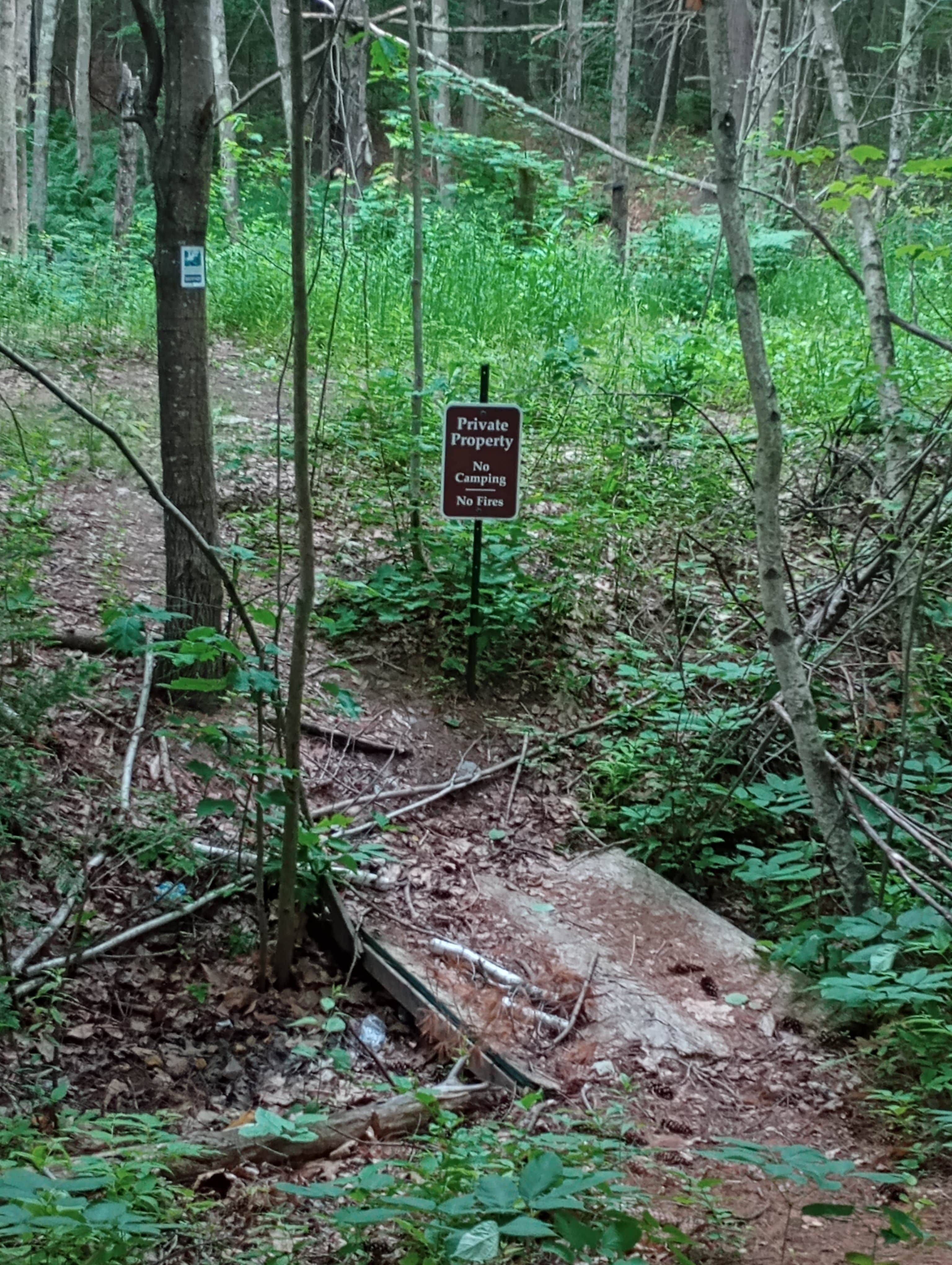 Camper submitted image from Tail-Tuckaway - 4