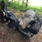 Review photo of Robert E. Talbot Conservation Area by steve K., May 22, 2025