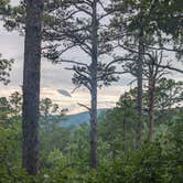 Review photo of Talimena Scenic Drive by Almost H., June 15, 2026