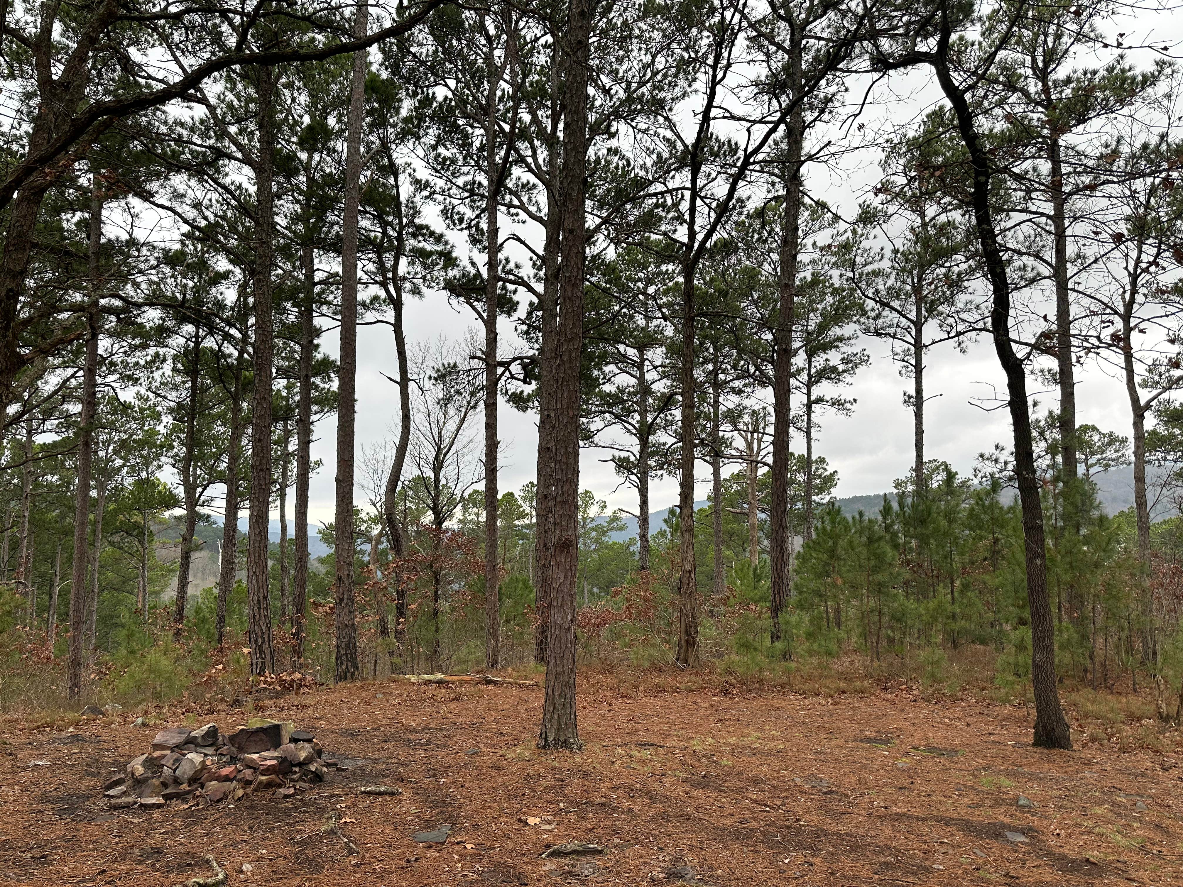 Camper-submitted photo at Talimena Scenic Drive near Stigler, OK