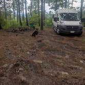 Review photo of Talimena Scenic Drive by Almost H., June 15, 2026