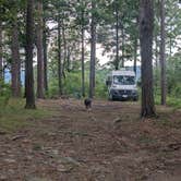 Review photo of Talimena Scenic Drive by Almost H., June 15, 2026