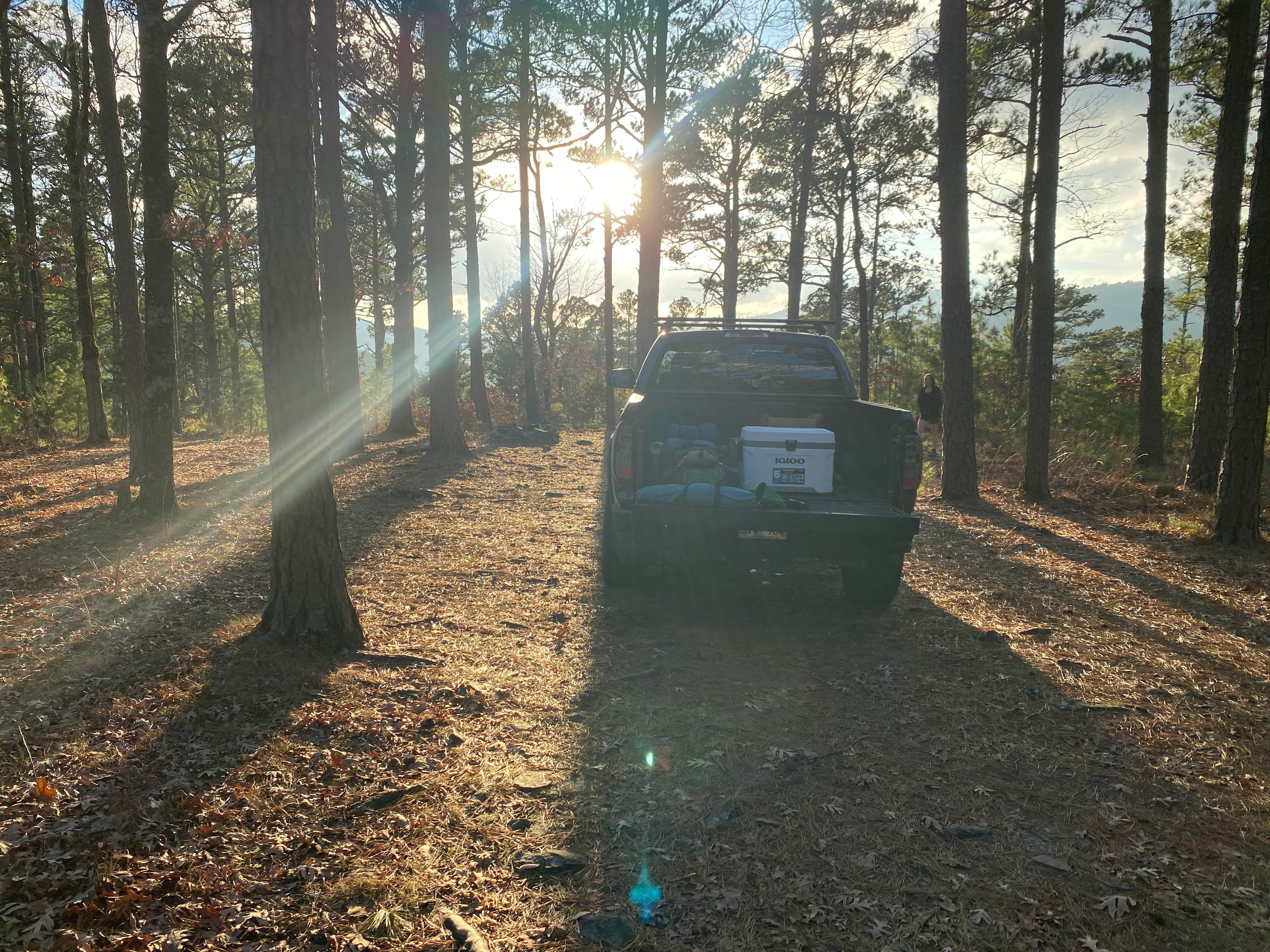 Camper-submitted photo at Talimena Scenic Drive near Big Cedar, OK
