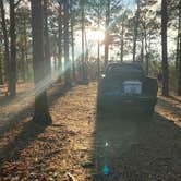 Review photo of Talimena Scenic Drive by Tim B., December 29, 2025