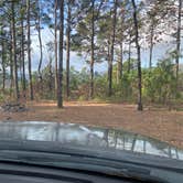 Review photo of Talimena Scenic Drive by Tim B., December 29, 2025