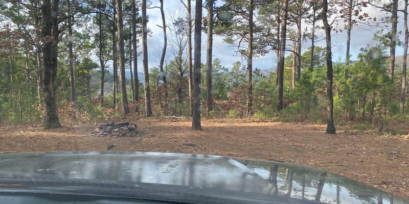 Camper submitted image from Talimena Scenic Drive