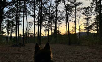 Brien's photo of a dispersed camping area at Talimena Scenic Drive in Oklahoma