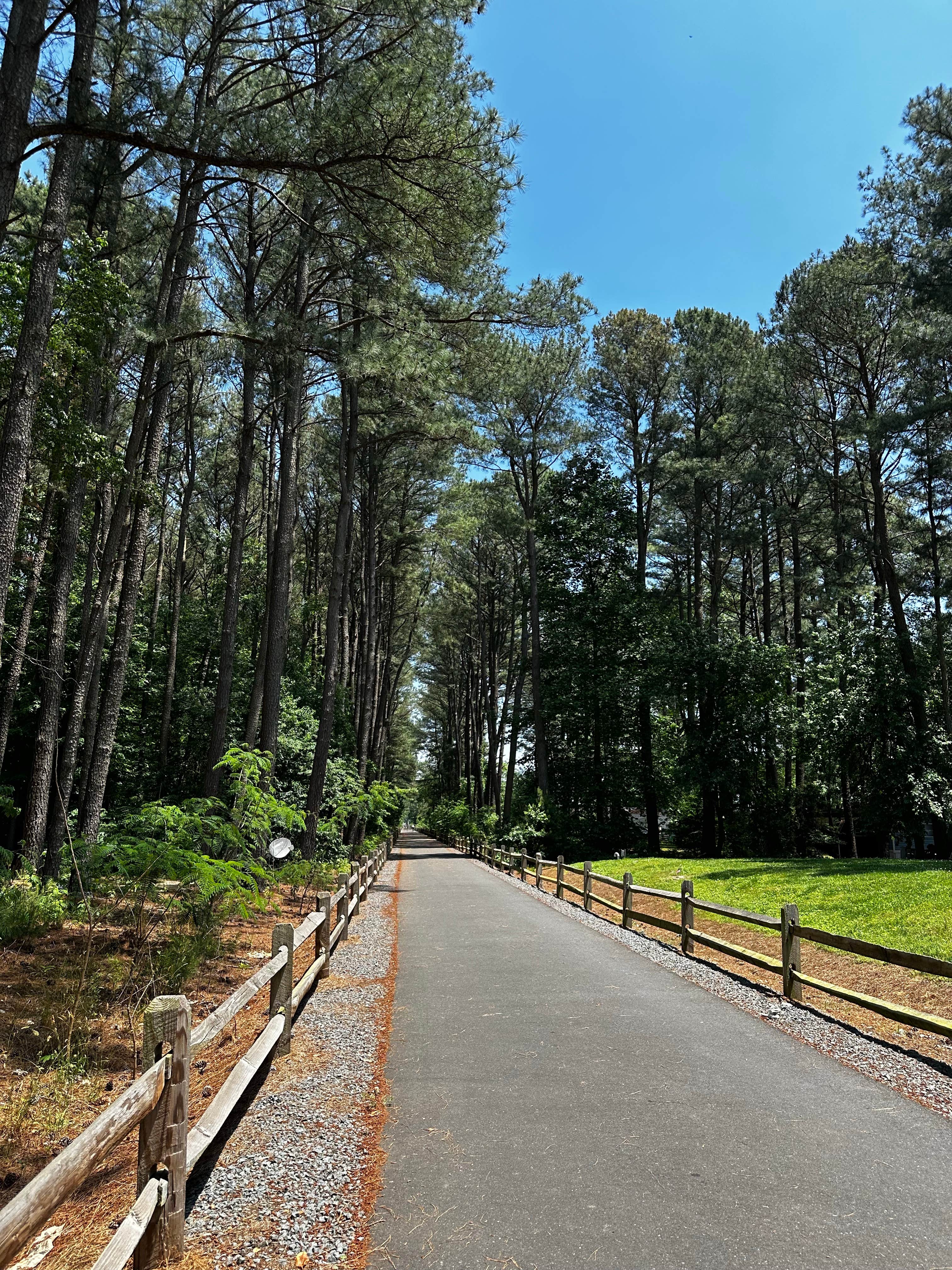 Camper-submitted photo at Tall Pine Campground near Dagsboro, DE