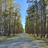 Review photo of Tall Pines / Chesapeake Bay KOA Holiday by Greg S., May 28, 2025