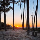 Review photo of Tall Pines / Chesapeake Bay KOA Holiday by Greg S., May 28, 2025