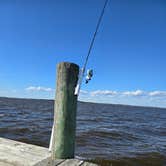 Review photo of Tall Pines / Chesapeake Bay KOA Holiday by Greg S., May 28, 2025