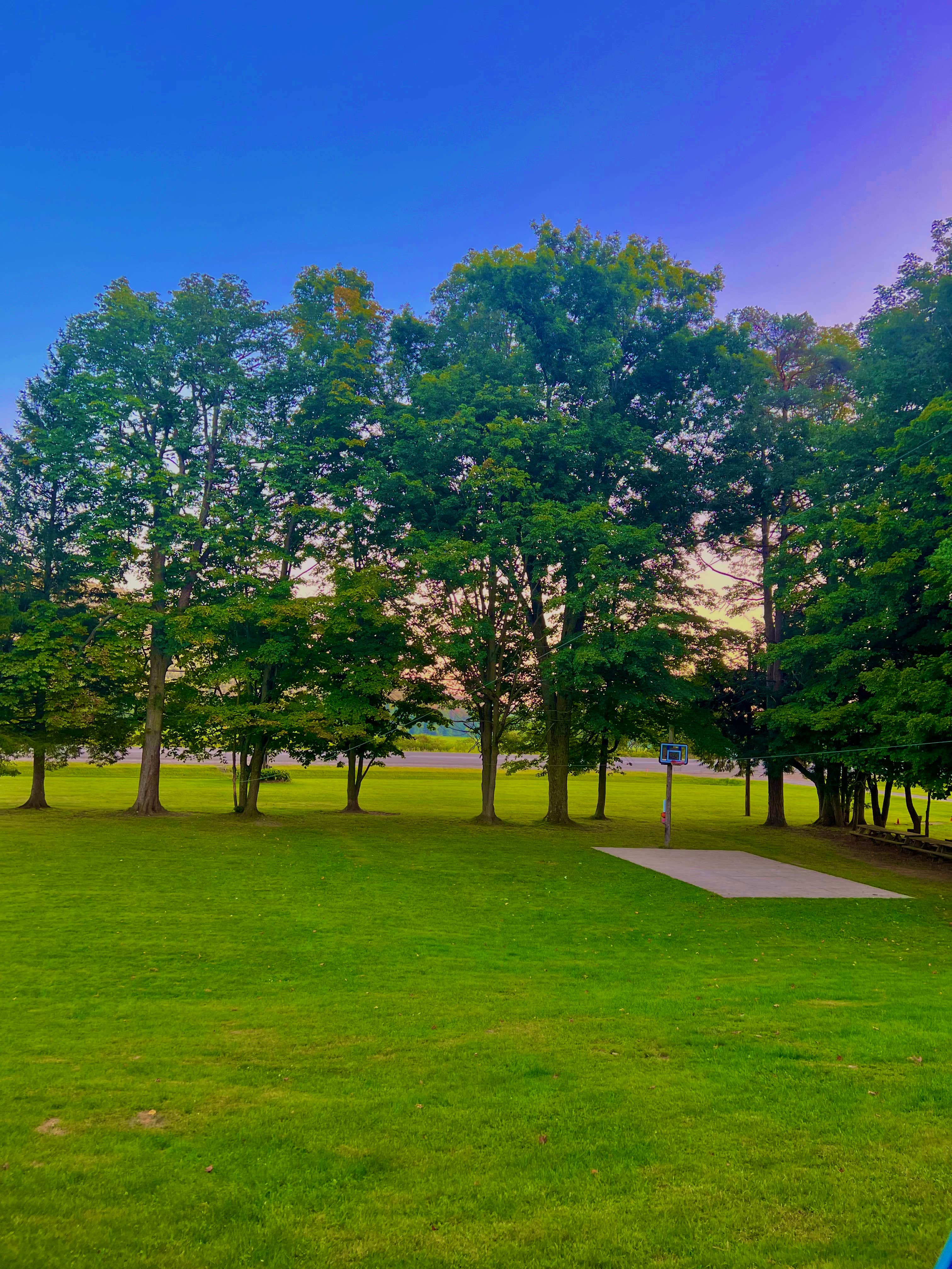 Camping near Steam Mill Tent Site: Tall Pines Campground & Canoeing, Bainbridge, New York