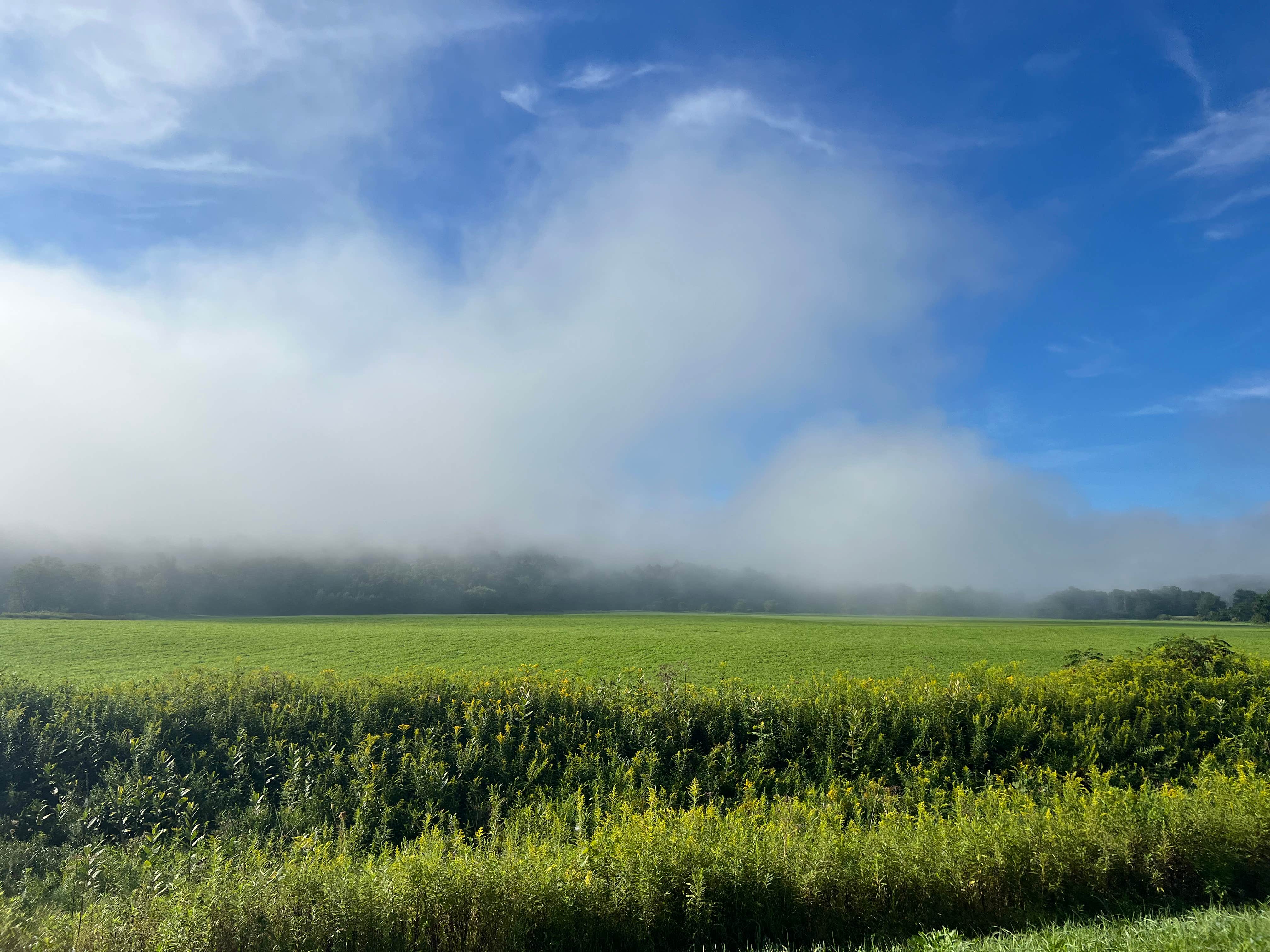 Camper-submitted photo at Tall Pines Campground & Canoeing near Trout Creek, NY