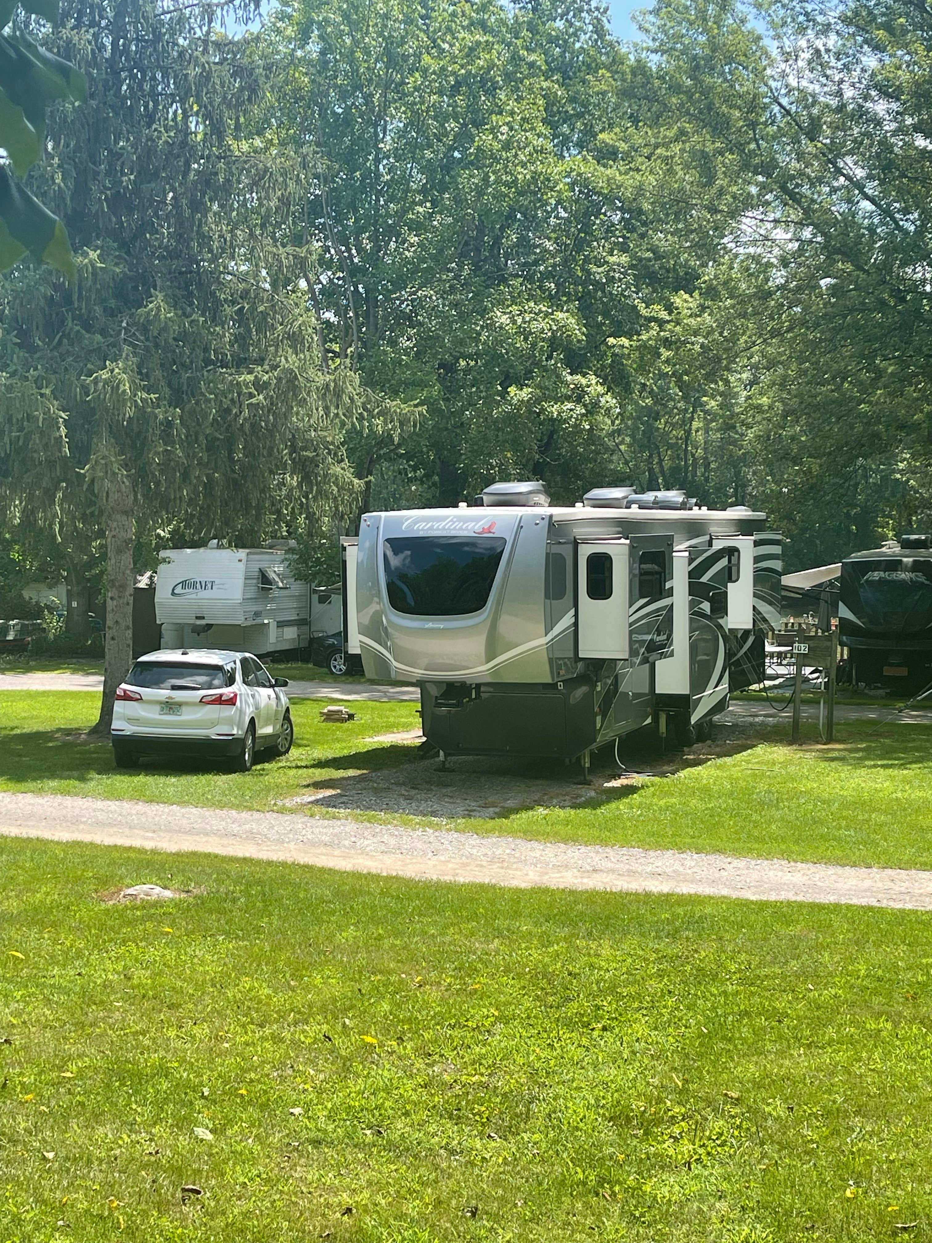 Camper submitted image from Tall Sycamore Campground - 1