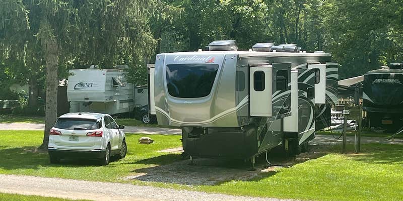 Camper submitted image from Tall Sycamore Campground