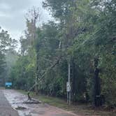 Review photo of Tallahassee RV Park by William P., October 12, 2026