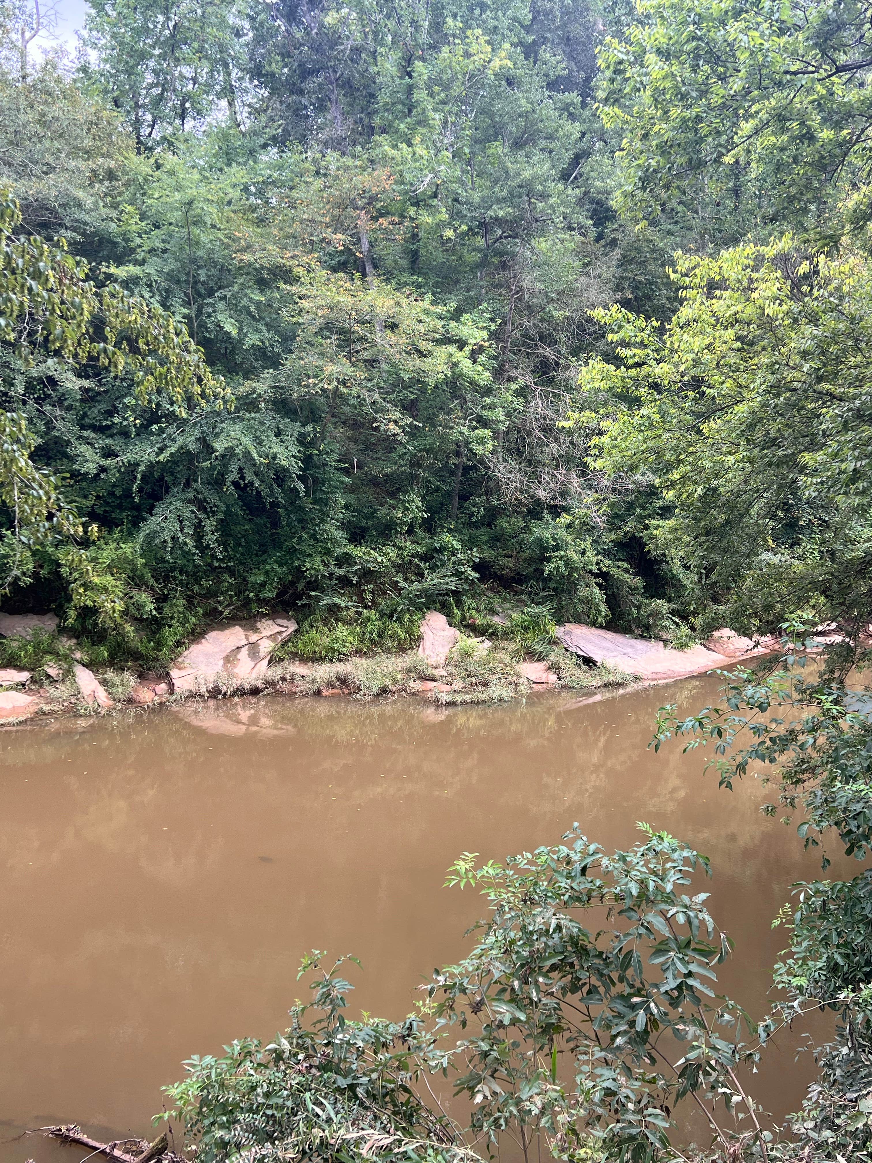 Camper submitted image from Tallapoosa River RV and Outdoor Center - 5