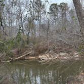 Review photo of Tallapoosa River RV and Outdoor Center by Paulene T., November 30, 2025