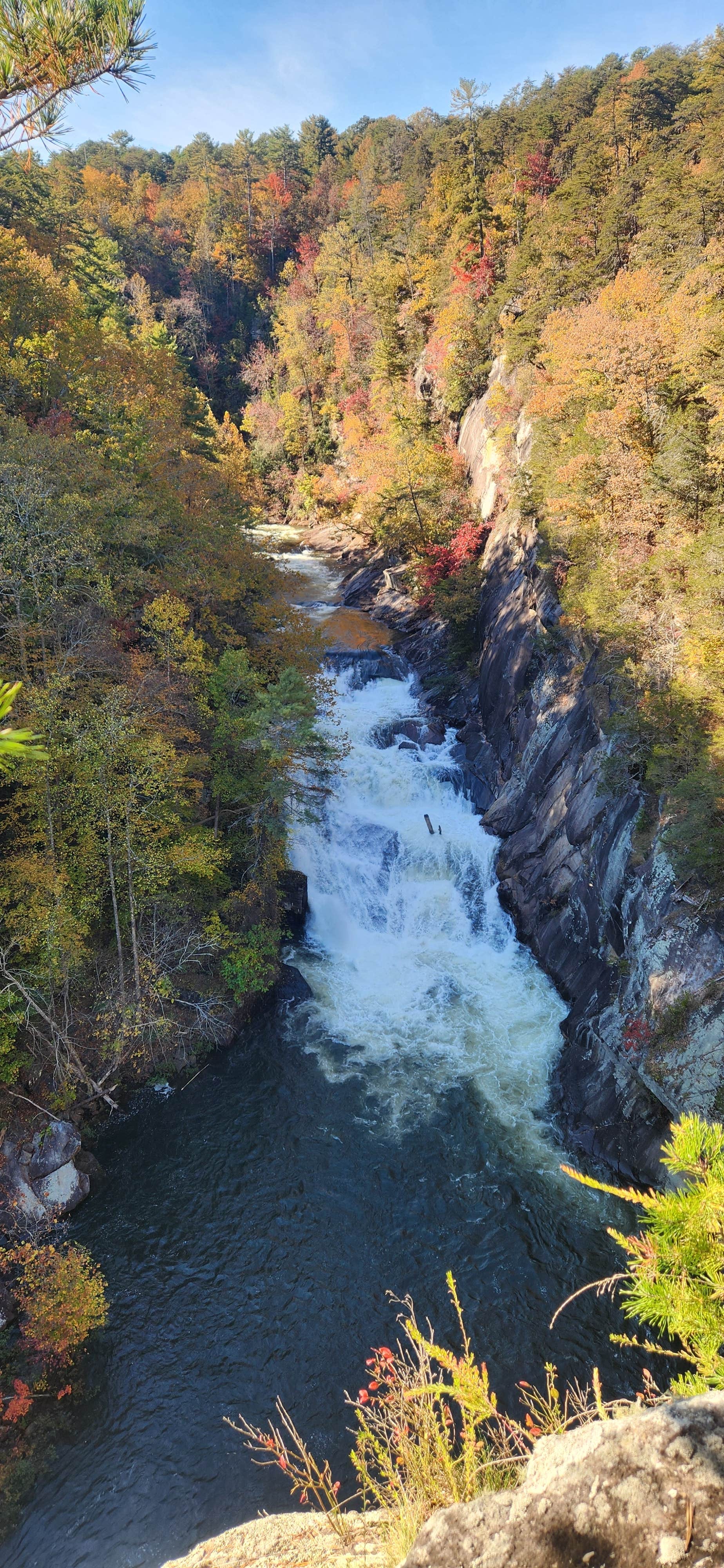 Camper-submitted photo at Tallulah River Campground — Chattahoochee Oconee National Forest near Rabun Gap, GA