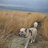 Review photo of Tamarack Beach by Renee T., May 4, 2025